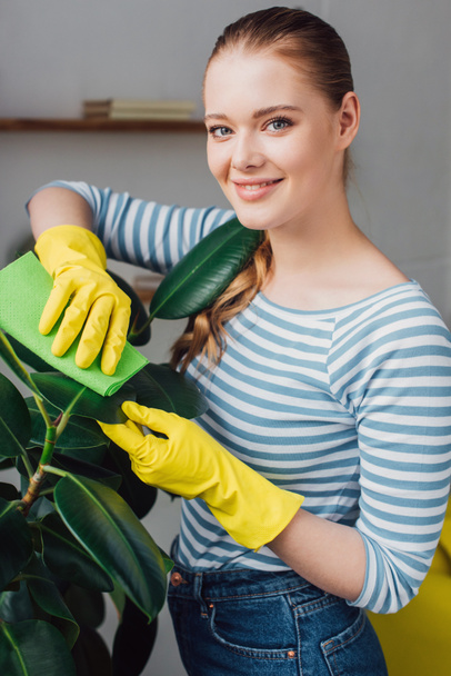 Vista lateral da bela mulher sorrindo para a câmera enquanto limpa folhas de planta com pano em casa
  - Foto, Imagem