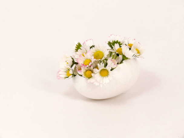 százszorszép virágok kép - Fotó, kép