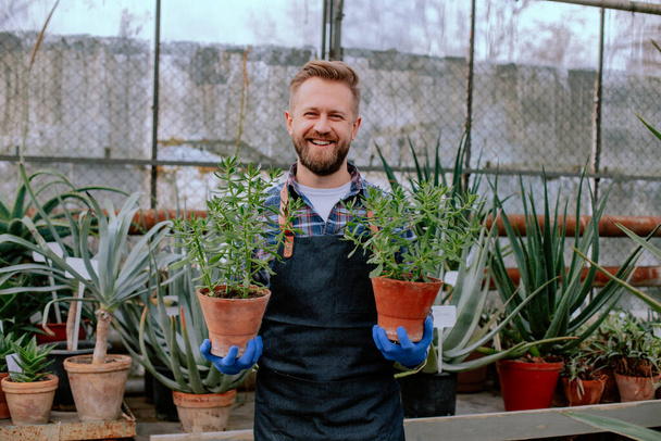 Attractive young man gardener in the morning in a greenhouse holding beautiful decorative plants - 写真・画像