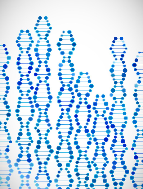 Structure of the DNA molecule - Vector, Image