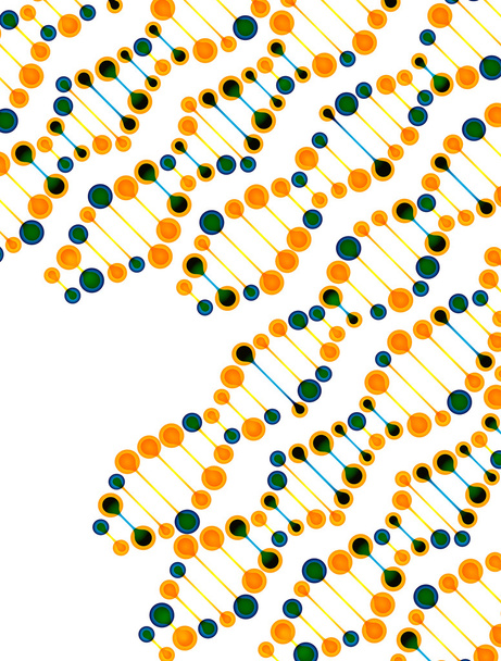 DNA-molekyylin rakenne
 - Vektori, kuva