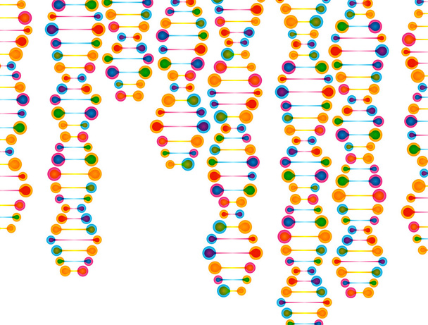 Structure of the DNA molecule - Vector, Image