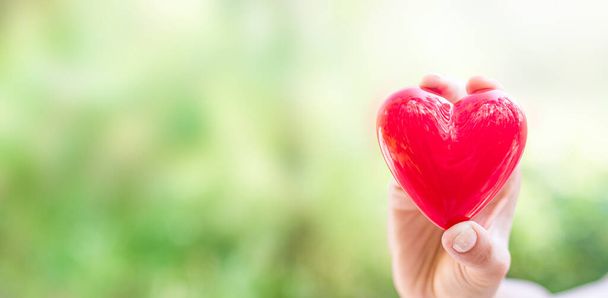 Nainen pitelee punaista sydäntä. Käsite hyväntekeväisyyteen, sairausvakuutukseen, rakkauteen, kansainväliseen kardiologiaan
. - Valokuva, kuva