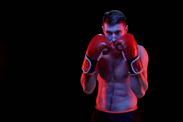 Junger muskulöser Boxer in Boxhandschuhen, der vor der Kamera steht und bereit ist, seinen Rivalen vor schwarzem Hintergrund zu bekämpfen - Foto, Bild