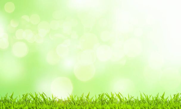 Paskalya konsepti. Güneşli bir günde yeşil çimenler ve bulanık yeşil arka plan.  - Fotoğraf, Görsel