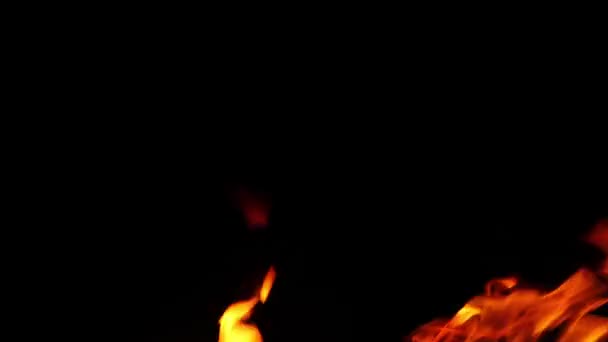 vlammen van kampvuur branden 's nachts - Video