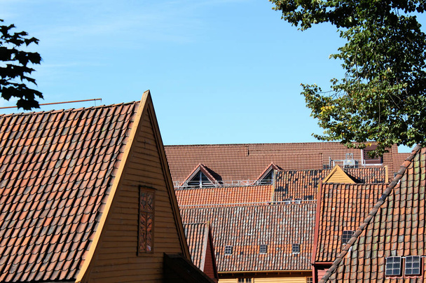Roof landscape in Bryggen - Valokuva, kuva