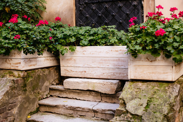 Kamenné schody s dřevěnými boxy s rostlinami - Fotografie, Obrázek