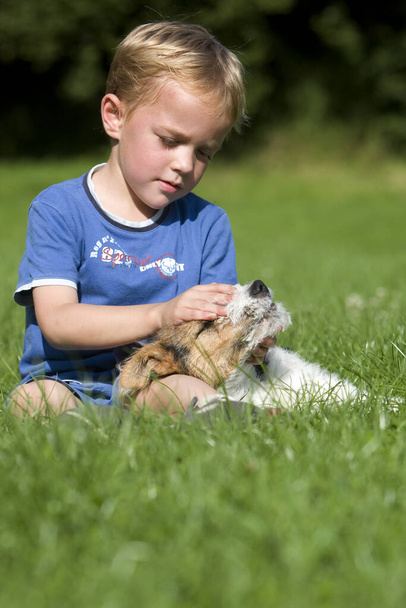 Хлопчик грає з Wire-Haired Fox Terrier, Pup   - Фото, зображення
