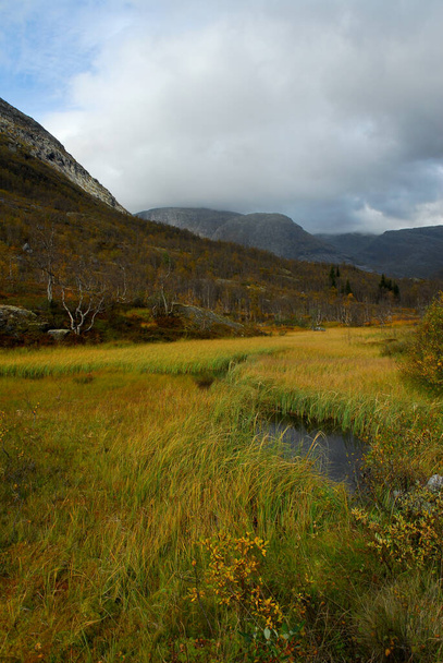 Norway,Breheimen National Park - Foto, Imagem