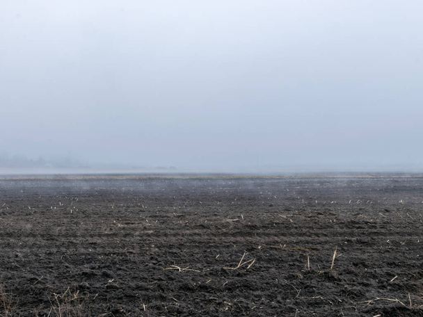 krajobraz mgły, rozmazane tło, fragmenty orki i sucha trawa na pierwszym planie - Zdjęcie, obraz