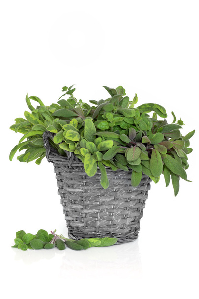 Sage and Oregano Herb Leaves - Photo, Image