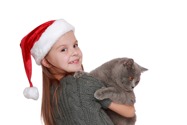 Little girl with her new cat - Photo, image