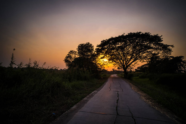 Picture of road at sunset Silhouette background. Road between trees and beautiful. - Fotó, kép