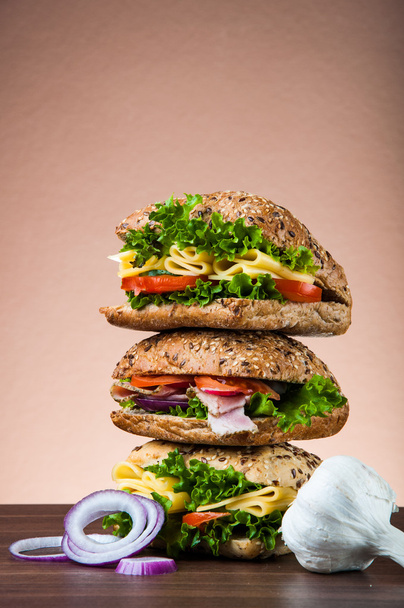 Natural theme of sandwich with organic ingredients - Foto, imagen