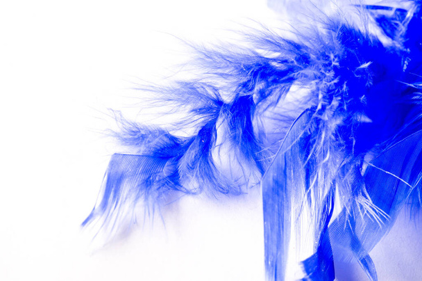 Textura, fondo, dibujo. pájaro pluma pintado de azul. Una maravillosa adición a cualquier diseño o accesorio, perfecto para añadir glam a las aplicaciones de moda más básicas
. - Foto, Imagen