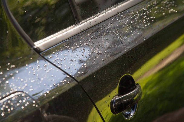 Zdjęcie jest zamazane, krople deszczu na lakierze samochodowym - Zdjęcie, obraz
