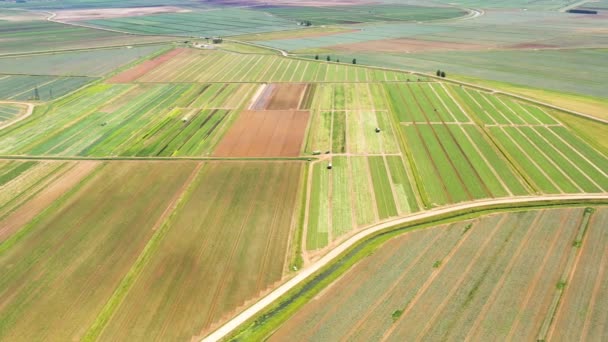 Terrenos agrícolas con cultivos verdes desde arriba - Imágenes, Vídeo