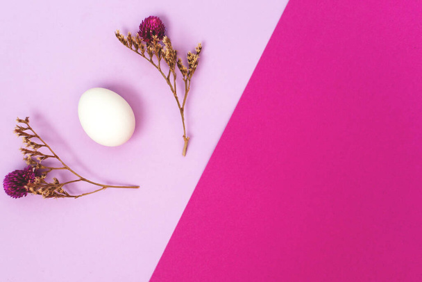 White easter egg on a lilac and rose background - Zdjęcie, obraz