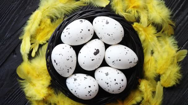 Egész csirke tojások a fészekben, fekete alapon rusztikus fa. Húsvéti szimbólumok - Felvétel, videó