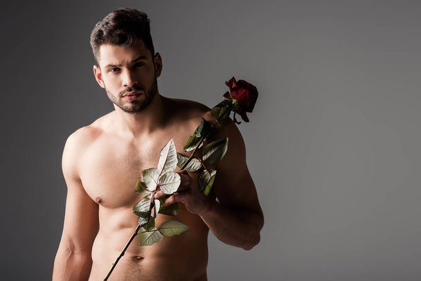 sexy naked man holding rose flower on grey - Foto, afbeelding
