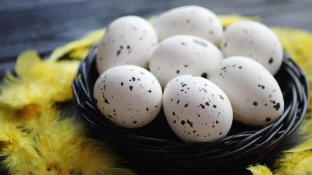 Egész csirke tojások a fészekben, fekete alapon rusztikus fa. Húsvéti szimbólumok - Felvétel, videó