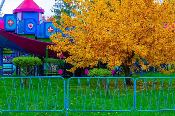Fotografía de otoño, hojas en el otoño, En esta época del año los árboles parecen cobrar vida, rompiendo con flores de color naranja, rojo y cobre - Foto, Imagen