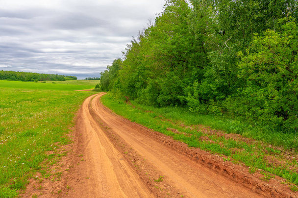 Jarní fotografie, venkovská krajina, polní cesty mezi mladými pšeničnými poli, široká cesta vedoucí z jednoho místa na druhé, zejména s speciálně upraveným povrchem, který mohou vozidla používat - Fotografie, Obrázek