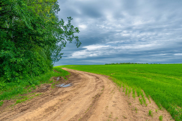 İlkbahar fotoğrafçılığı, kırsal alan, genç buğday tarlalarının arasından geçen toprak yol, bir yerden diğerine uzanan geniş bir yol, özellikle araçların kullanabileceği özel hazırlanmış bir yüzeye sahip olan bir yol. - Fotoğraf, Görsel