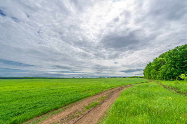 Spring photography, rural landscape, dirt road through young wheat fields, a wide way leading from one place to another, especially one with a specially prepared surface that vehicles can use - Photo, Image