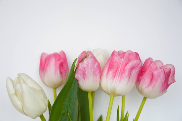 Bouquet of flowers. beautiful pink and white tulips. - Φωτογραφία, εικόνα