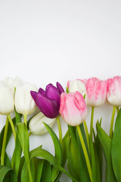 Bouquet of flowers. beautiful pink, white and purple tulips.  - Foto, Imagen