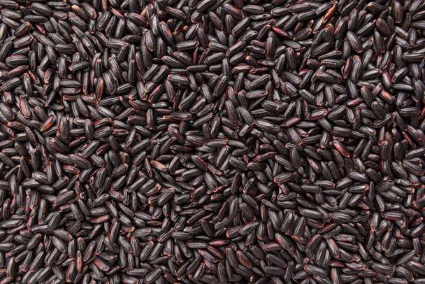 Oryza sativa is scientific name of Black Rice seed. Also known as Arroz Negro (portuguese). Closeup of grains, background use. - Foto, immagini