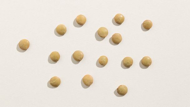 Lens culinaris is scientific name of Lentil legume. Also known as Lentilha Canadense (portuguese) or Lentejas (spanish). Top view of scattered grains. - Φωτογραφία, εικόνα