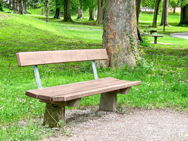 Empty wooden park bench in a city park in summer. Long seat on which multiple people can sit at the same time, made of wood. Minnesheimpark. Green public park in Obergnigl, Salzburg, Austria, Europe. Photo. - Photo, Image