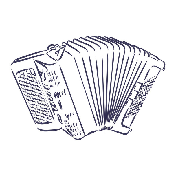 Accordion Musical instrument doodle style sketch illustration hand drawn vector - Vector, Image