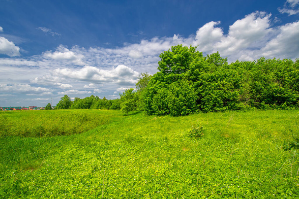 Καλοκαιρινό τοπίο, εξοχή, καταπράσινο γρασίδι και δέντρα, γαλανός ουρανός με λευκά σύννεφα, υπέροχη καλοκαιρινή διάθεση - Φωτογραφία, εικόνα