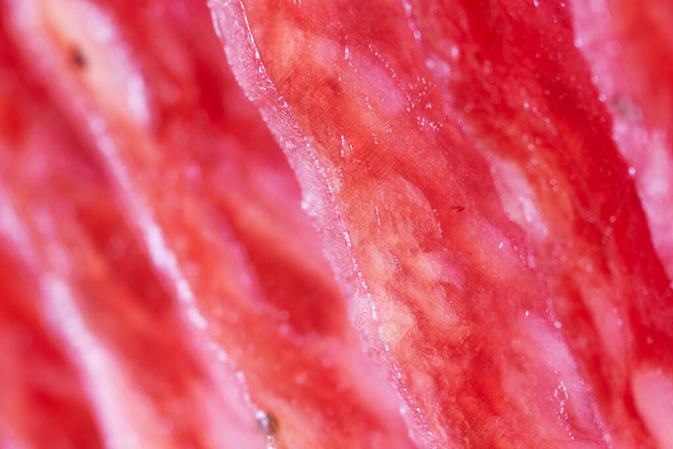 Slices of salami sausage - Photo, Image