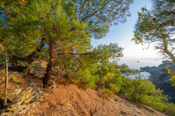 Foto 's van het Krim schiereiland uitzicht op de zee Tsarskoye Beach een fantastische plek van schoonheid in de buurt van het dorp Novyi Svet Cape Kapchik Upland Karaul-Oba, Amfibische Man en Piraten van de 20e eeuw - Foto, afbeelding