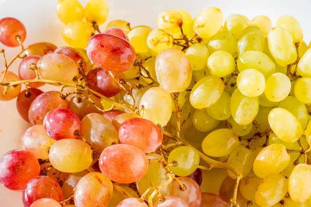 Виноград можно есть свежим как столовый виноград или использовать для производства вина, джема, сока, желе, экстракта виноградных семян, изюма, уксуса и масла виноградных косточек. Виноград - неклиматический тип фруктов - Фото, изображение