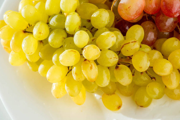 Виноград можно есть свежим как столовый виноград или использовать для производства вина, джема, сока, желе, экстракта виноградных семян, изюма, уксуса и масла виноградных косточек. Виноград - неклиматический тип фруктов - Фото, изображение