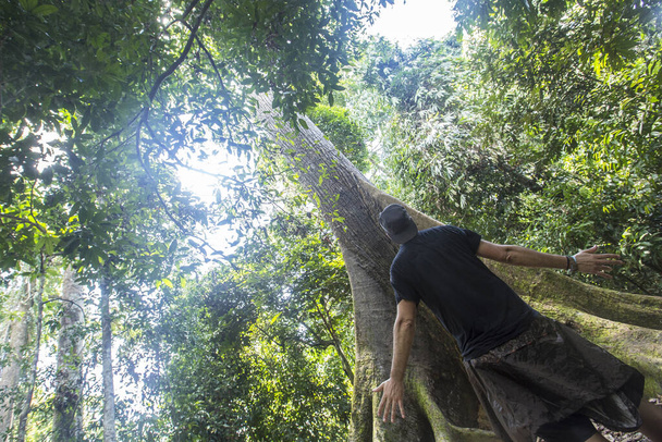 Sepilok, Malaysia - Spring of 2018: A young man hallucinating with the impressive trees of the Sepilok natural park - Foto, Imagem