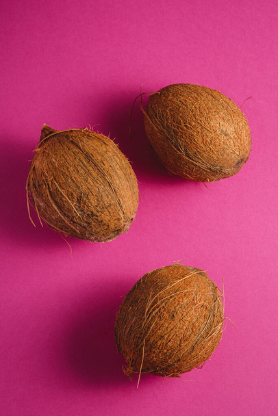 Trzy owoce kokosowe na żywy różowy purpurowy gładkie tło, tropikalna koncepcja, widok z góry - Zdjęcie, obraz