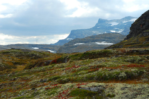 Norway on nature landscape background - Фото, изображение
