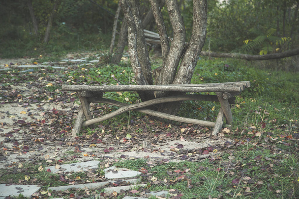 dřevěná lavička pod stromem v přírodě - Fotografie, Obrázek