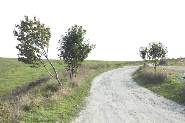 silnice s polem v přírodním pozadí - Fotografie, Obrázek