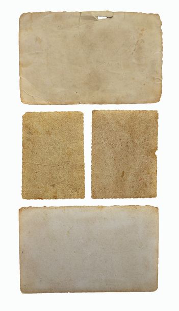 staré listy izolované na bílém - Fotografie, Obrázek