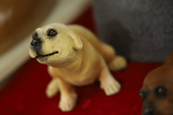 Golden Retriever Pies obraz tego - Zdjęcie, obraz