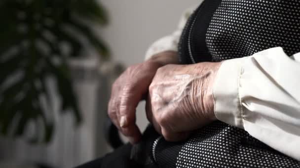 Close-up Senior Female Hands. Old Aged Elderly Woman Sitting Calm Thinking About Life  - Felvétel, videó