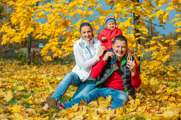 Family at autumn park - Фото, изображение